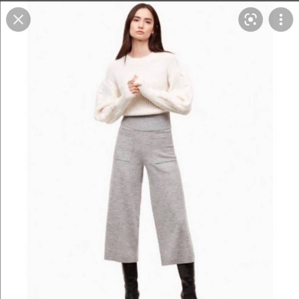 NWT Aritzia/Wilfred Brion Pants